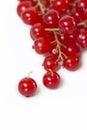 Red cranberries Royalty Free Stock Photo