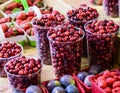 Red cranberries healthy antioxidant rich Cranberry fruit in abundance