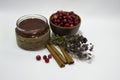 Red cranberries, wooden bowl, honey, cinnamon sticks. Royalty Free Stock Photo