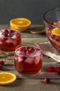 Red Cranberry Holiday Punch Royalty Free Stock Photo
