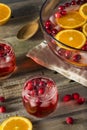 Red Cranberry Holiday Punch Royalty Free Stock Photo