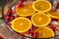 Red Cranberry Holiday Punch Royalty Free Stock Photo