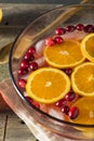 Red Cranberry Holiday Punch