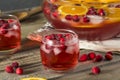 Red Cranberry Holiday Punch