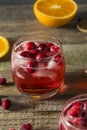 Red Cranberry Holiday Punch Royalty Free Stock Photo
