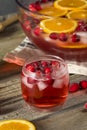 Red Cranberry Holiday Punch Royalty Free Stock Photo