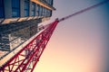 Red Crane against the blue sky