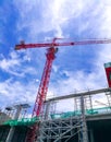 Red crane with blue sky