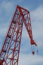 Red Crane closeup with blue sky background