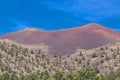 Red Crater at Sunset Crater Volcano National Monument, Arizona Royalty Free Stock Photo