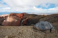 Red Crater in Tongariro National Park in New Zealand Royalty Free Stock Photo