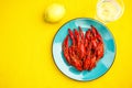 Red Crayfish on Blue Plate and Yellow Table,Modern Colors Royalty Free Stock Photo