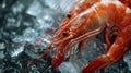 Red crayfish on ice with water splashes Royalty Free Stock Photo