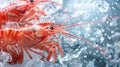 Red crayfish on ice with water splashes Royalty Free Stock Photo