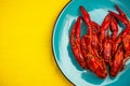 Red Crayfish or Lobster on Colorful Background Royalty Free Stock Photo