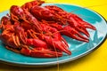 Red Crayfish or Lobster on Plate, CLose up View Royalty Free Stock Photo