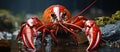 Red crayfish in the water