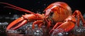 Red crayfish in the water