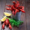 Red crayfishes in metal bucket served with dill and lemon, on a dark wooden background, square format