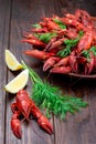 Red crayfishes on plate served with dill and lemon, dark wooden background, vertical