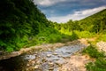 Red Creek, in the rural Potomac Highlands of West Virginia.