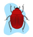 Red Creepy Beetle