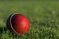 Red Cricket Ball On Grass Royalty Free Stock Photo