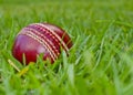 Red cricket ball in green grass Royalty Free Stock Photo