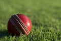 Red cricket ball on green grass Royalty Free Stock Photo