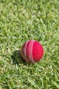 Red Cricket Ball on green grass Royalty Free Stock Photo