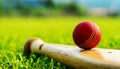 Red Cricket Ball Resting on a Wooden Cricket Bat on Green Grass of Cricket Pitch - Generative Ai Royalty Free Stock Photo