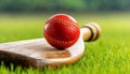 Red Cricket Ball Resting on a Wooden Cricket Bat on Green Grass of Cricket Pitch - Generative Ai Royalty Free Stock Photo