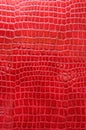 Red crocodile leather Royalty Free Stock Photo