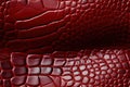 red crocodile leather texture with seamless pattern. Natural genuine animal skin Royalty Free Stock Photo