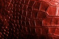 Red crocodile textured leather