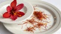 Red Crocus Flower and Saffron Spice Threads on White Plate Royalty Free Stock Photo