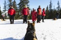 Red cross saviors with their dogs