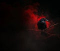 red crow on a dry branch. red and black spooky smoke background