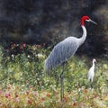 Red Crown Crane Bird In The Wild Marshlands Generative AI