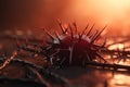 A red crown of thorns sits on a rock with the sun behind on background