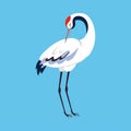 Red Crowned Crane as Long-legged and Long-necked Bird Standing on Blue Background Vector Illustration Royalty Free Stock Photo