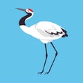 Red Crowned Crane as Long-legged and Long-necked Bird Standing on Blue Background Vector Illustration Royalty Free Stock Photo