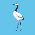 Red Crowned Crane as Long-legged and Long-necked Bird Standing on Blue Background Vector Illustration Royalty Free Stock Photo