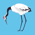 Red Crowned Crane as Long-legged and Long-necked Bird Standing on Blue Background Vector Illustration Royalty Free Stock Photo