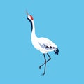 Red Crowned Crane as Long-legged and Long-necked Bird Standing on Blue Background Vector Illustration Royalty Free Stock Photo