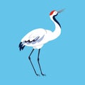 Red Crowned Crane as Long-legged and Long-necked Bird Standing on Blue Background Vector Illustration Royalty Free Stock Photo