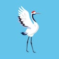 Red Crowned Crane as Long-legged and Long-necked Bird Standing with Spread Wings on Blue Background Vector Illustration Royalty Free Stock Photo