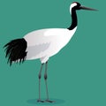 Red crowned crane cartoon