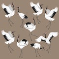 Red-crowned Cranes Set
