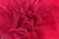 Red crumpled tulle close up